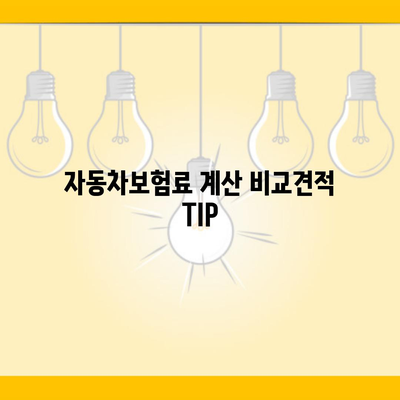 자동차보험료 계산 비교견적 TIP