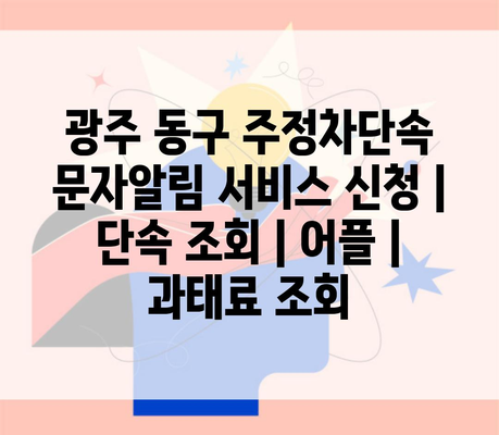 광주 동구 주정차단속 문자알림 서비스 신청 | 단속 조회 | 어플 | 과태료 조회