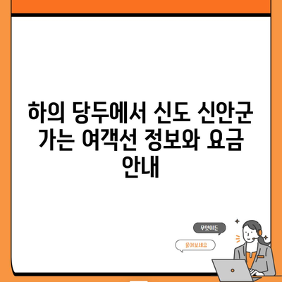 하의 당두에서 신도 신안군 가는 여객선 정보와 요금 안내