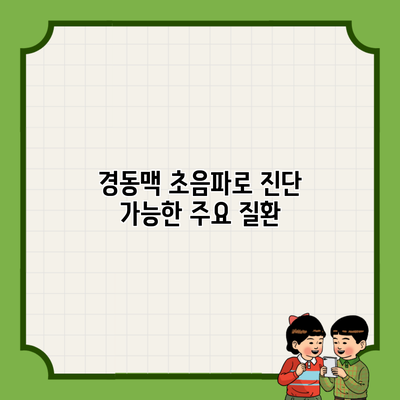경동맥 초음파로 진단 가능한 주요 질환