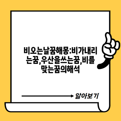비오는날꿈해몽:비가내리는꿈,우산을쓰는꿈,비를맞는꿈의해석