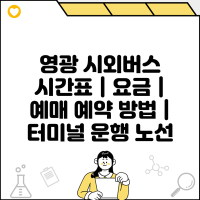 영광 시외버스 시간표 | 요금 | 예매 예약 방법 | 터미널 운행 노선