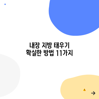 내장 지방 태우기 확실한 방법 11가지