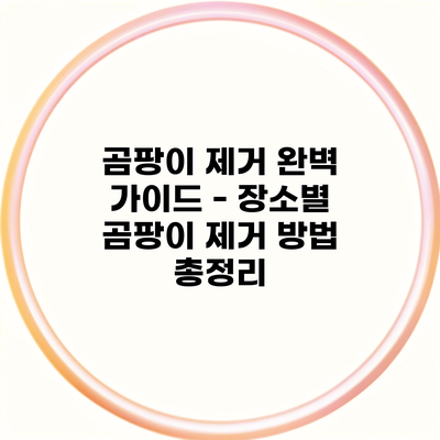 곰팡이 제거 완벽 가이드 – 장소별 곰팡이 제거 방법 총정리