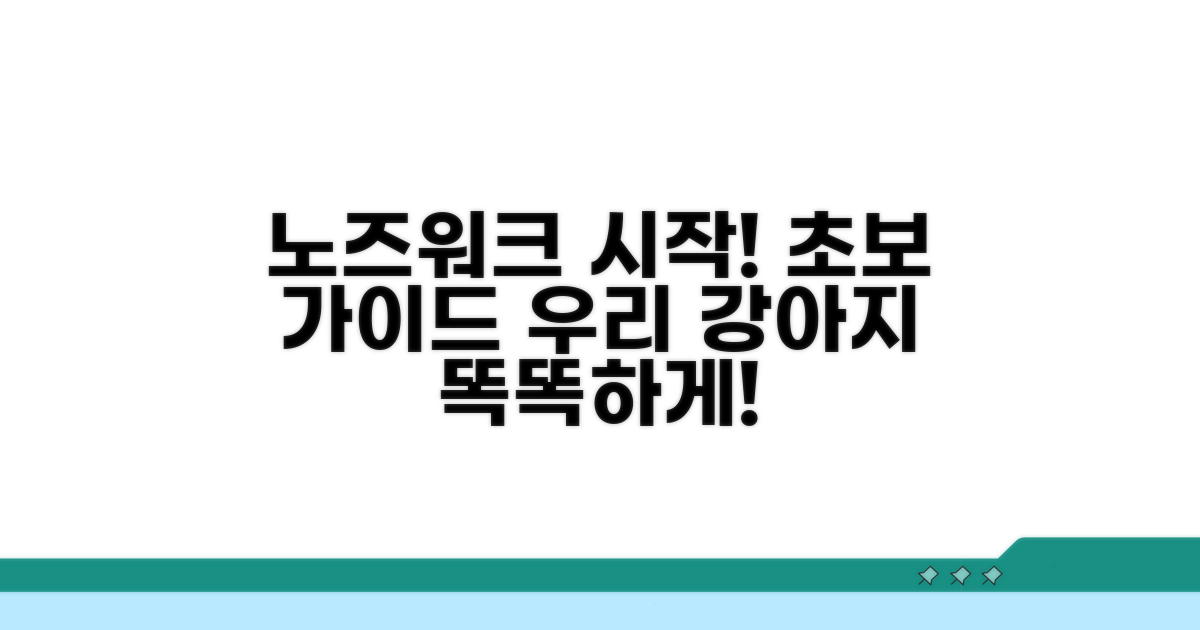 노즈워크 시작하는 방법