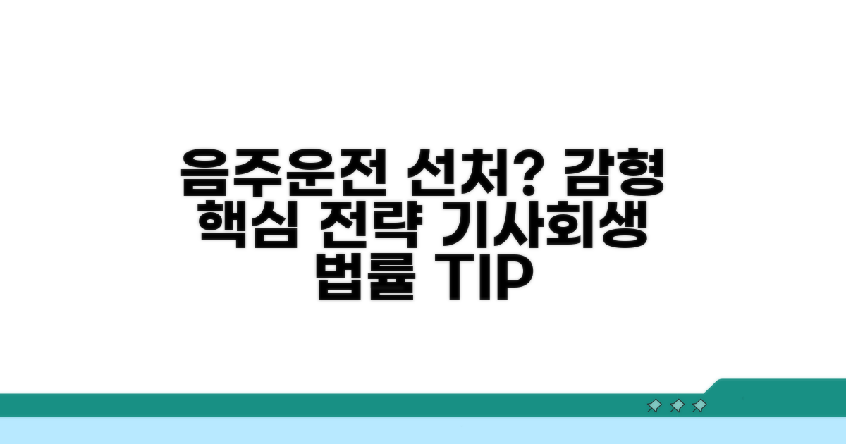 음주운전 선처 호소 방법