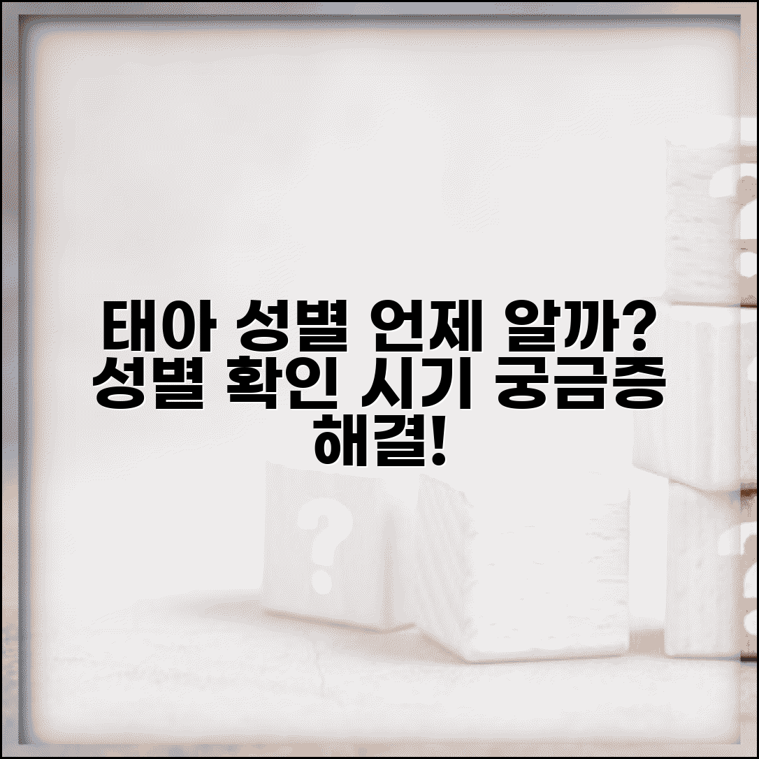 태아 성별 언제 아나 | 성별 확인 가능 시기