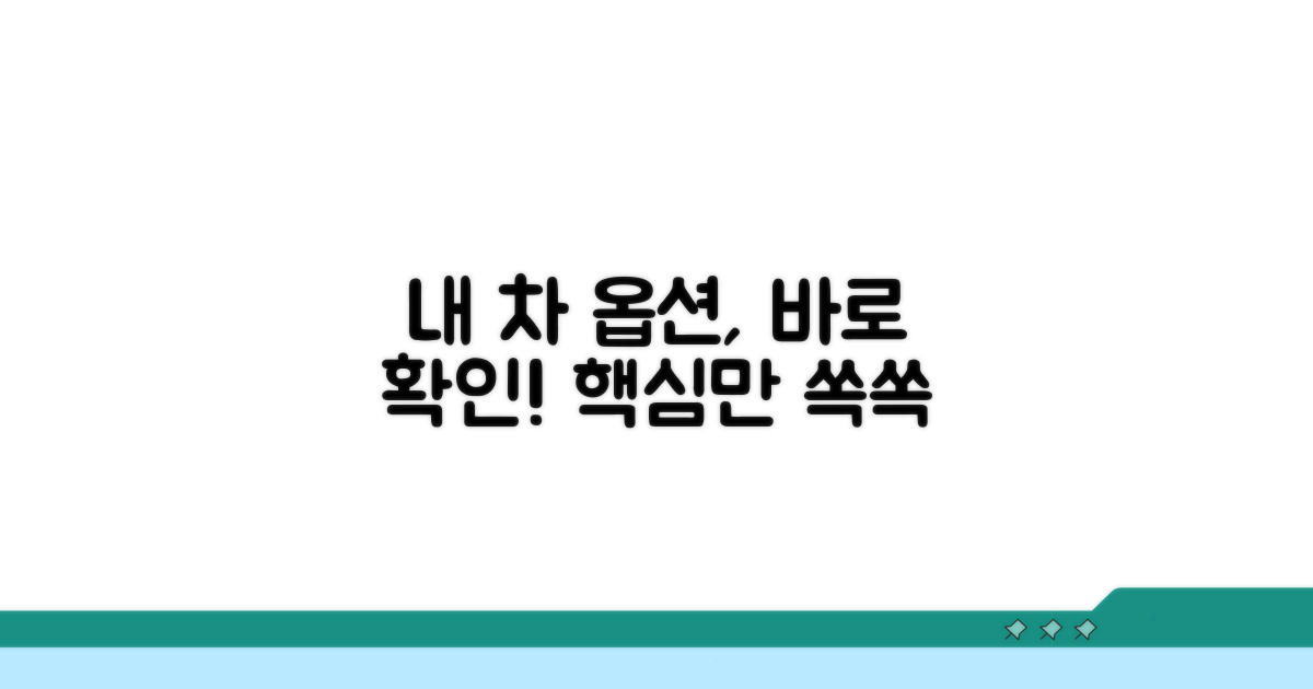 실전! 내 차 옵션 정보 조회하기