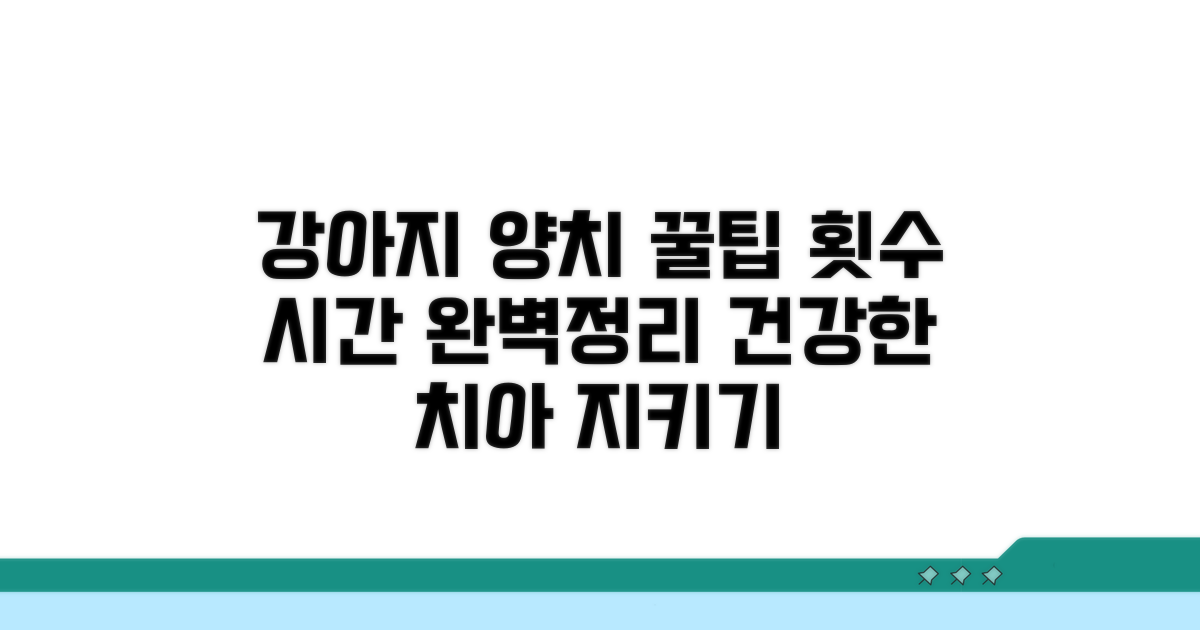 우리 강아지 양치, 효과적인 횟수와 시간