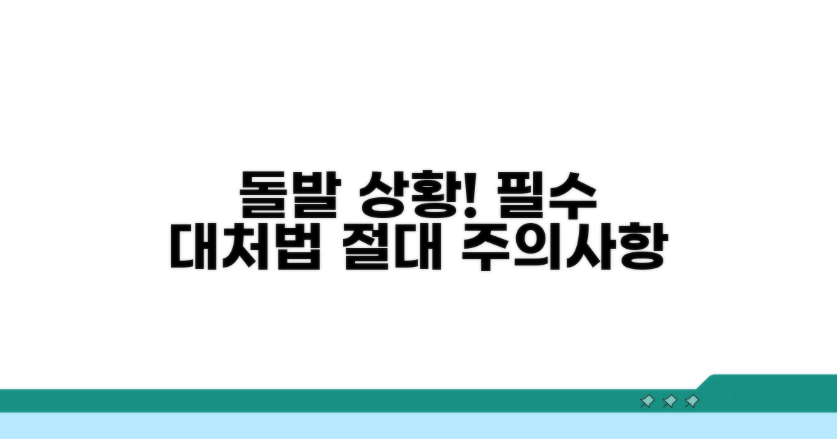 돌발 상황 대처법과 주의사항