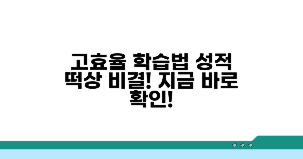 고효율 학습 방법 완벽 분석
