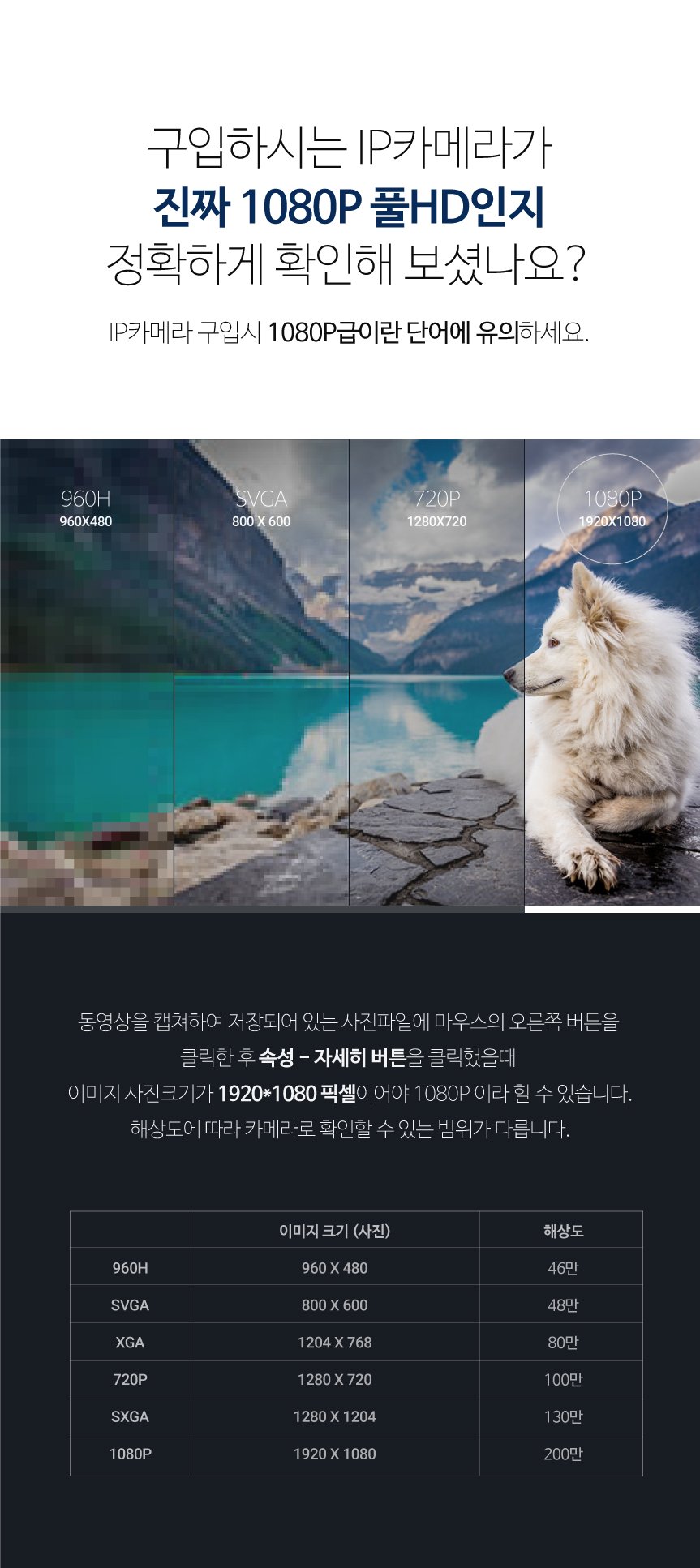 글로벌아이넷 로보뷰2 홈 IP 카메라 CCTV 홈캠 200만화소 BL2 블랙 상세 이미지 1